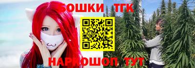 jwh Будённовск