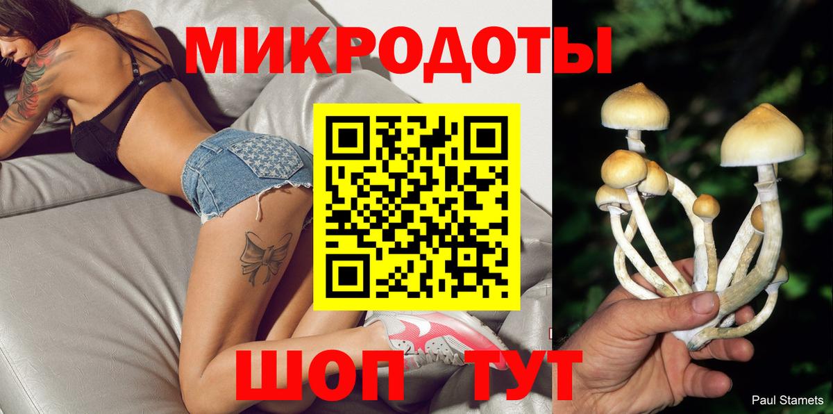 Салават  Псилоцибиновые грибы Psilocybe  Галлюциногенные грибы Psilocybe  Вход с VPN 