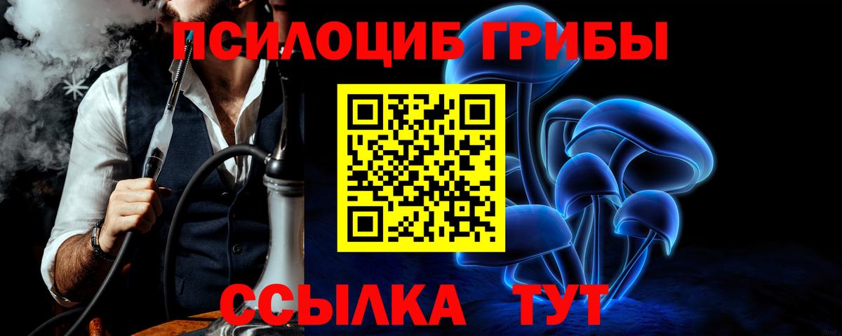 Галлюциногенные грибы ЛСД Салават